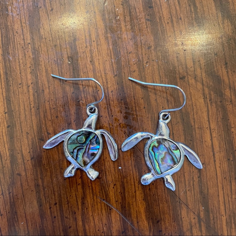 ‼️SOLD‼️Silver Geometric Rainbow Turtle Earrings